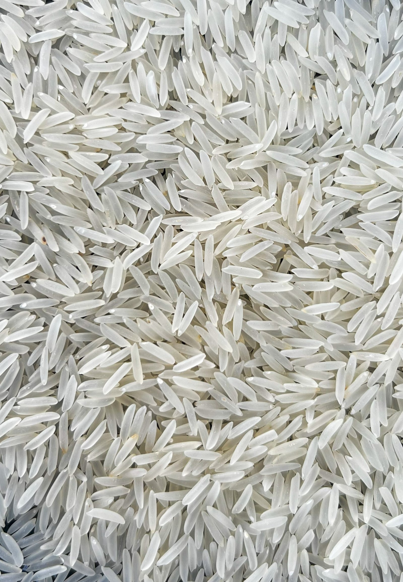 1121 Sella Basmati Rice